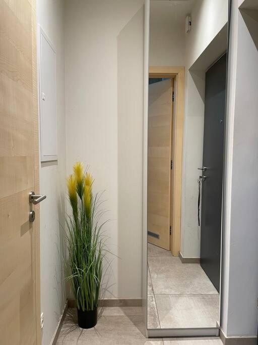 Gartenwohnung Mit Terrasse Und Parkplatz Грац Екстериор снимка
